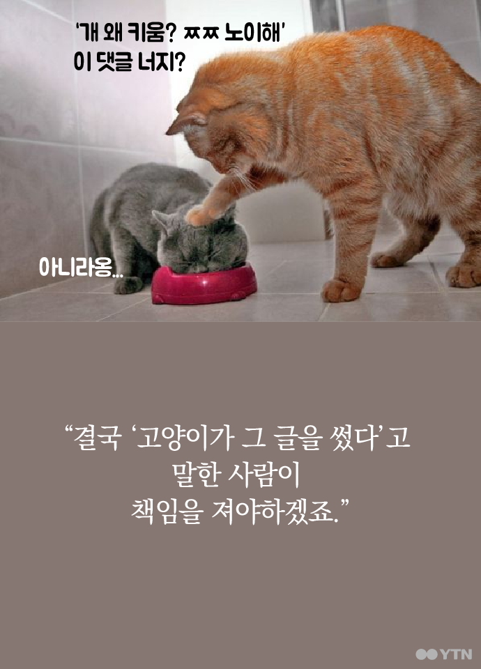 판사님 이 글은 제 고양이가 썼습니다 | 인스티즈