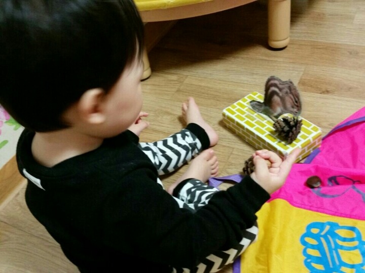통통통 이미지