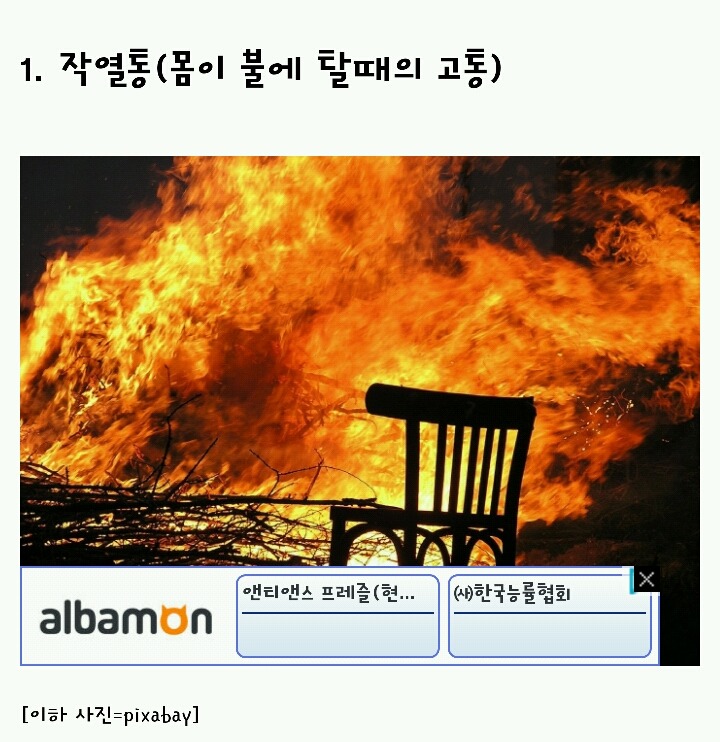 인간이 느낄 수 있는 가장 강력한 통증 순위 | 인스티즈