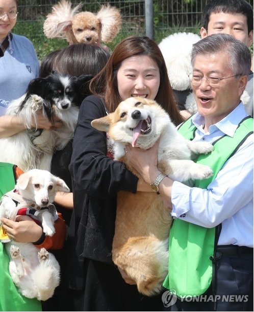 오늘자 문재인과 처음 만난 반려견들.jpg | 인스티즈
