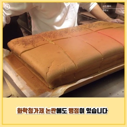 졸지에 악마가 된 대왕 카스테라의 억울한 사연 | 인스티즈