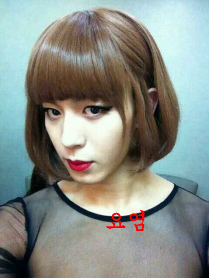 래쉬바다 이미지