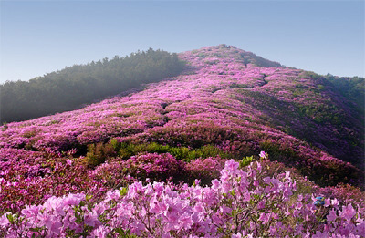서울에서 가장 좋아하는 지하철역은?.jpg | 인스티즈