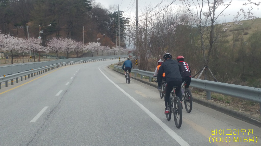 욜로아라 이미지