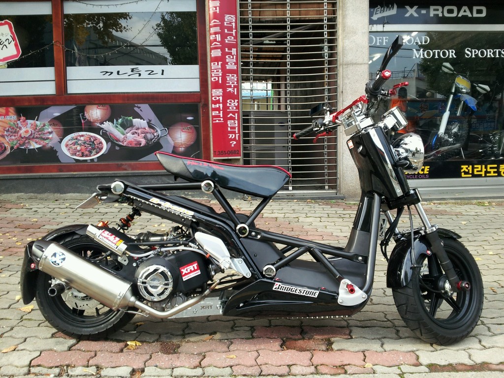 비본 이미지
