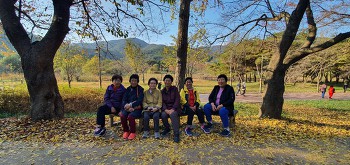 19.11.05(화) 노년기부모교육
