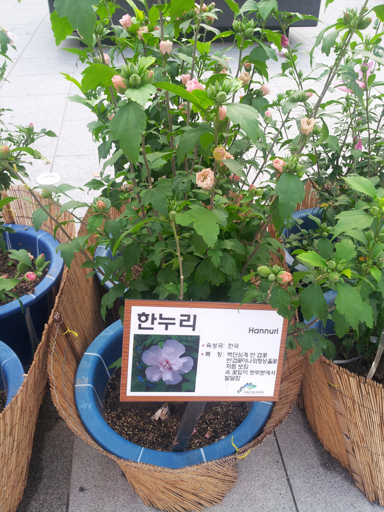 한누리 이미지