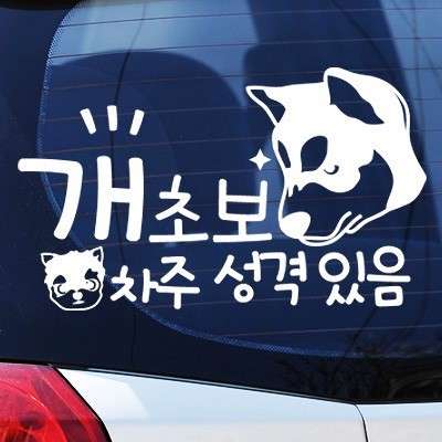불쾌한 초보운전 딱지.JPG | 인스티즈