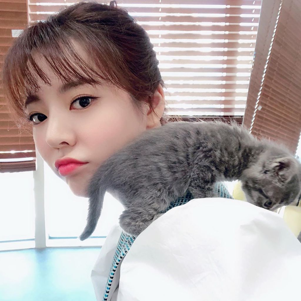 990FB83B5E8B4CE929C215