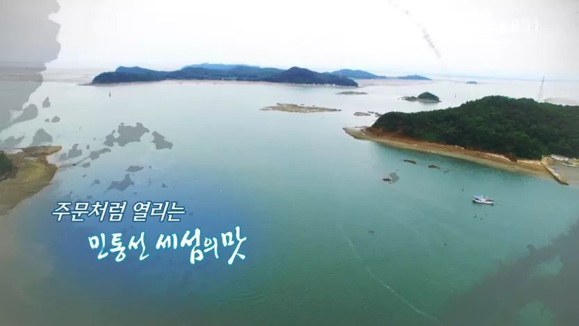 한국인의 밥상 - 민통섬 세 섬의 맛 | 인스티즈