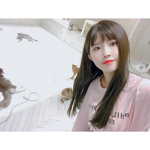 냥이까페간 프로미스 나인 | 인스티즈