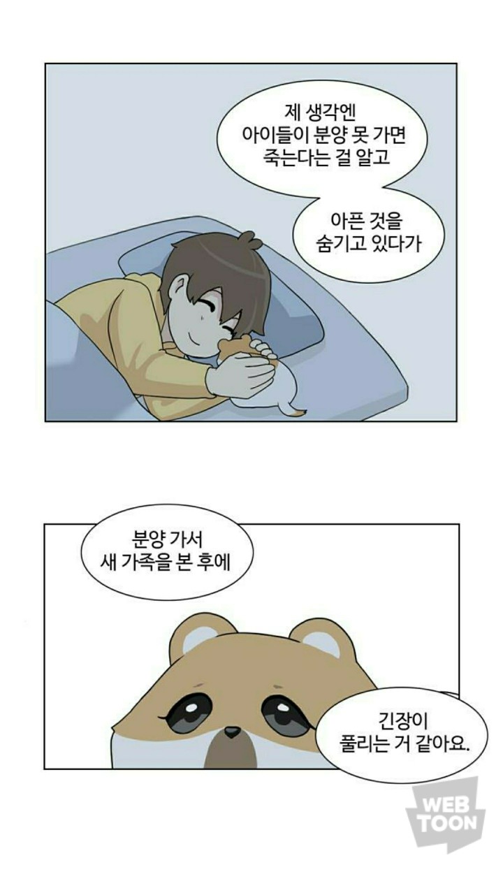 병든 강아지가 분양 후에 아파하는 이유 | 인스티즈