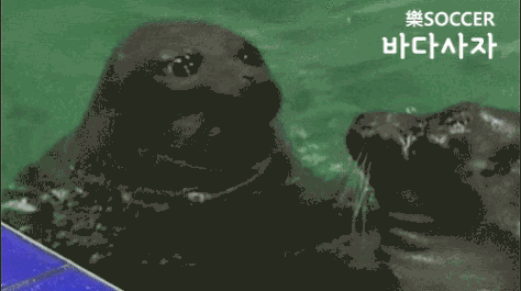신동이 기억하고 있었던 12살 선미의 모습 | 인스티즈