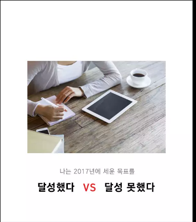 나는 2017년에 세운 목표를 달성했다 vs 달성 못했다 | 인스티즈