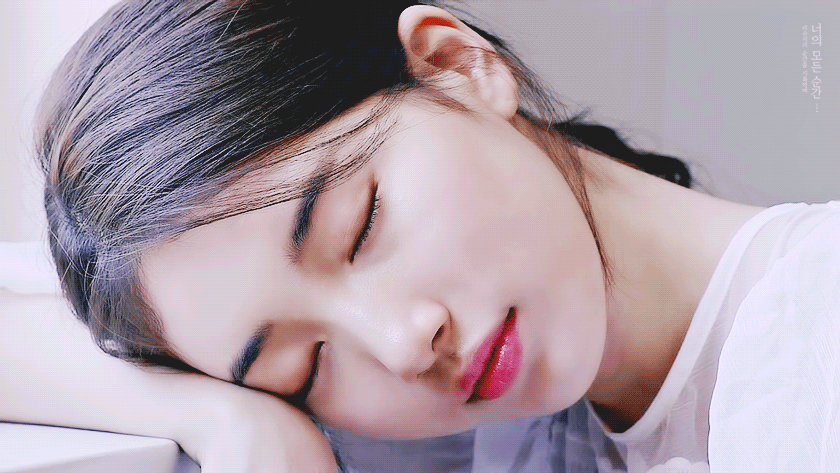 비트코인 때문에 고양이랑 갈등이 생긴 집사 | 인스티즈