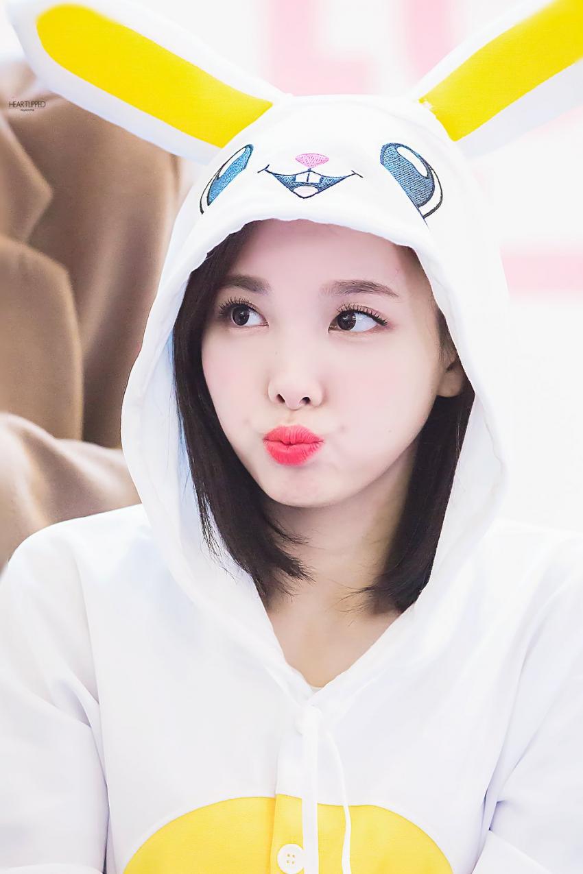 트와이스의 인간토끼 | 인스티즈