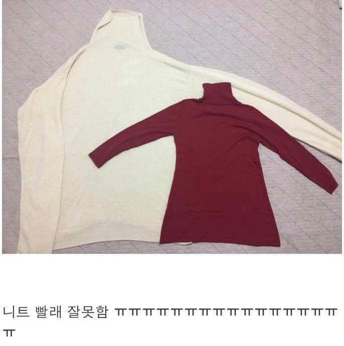 니트 빨래 잘못함.JPG | 인스티즈