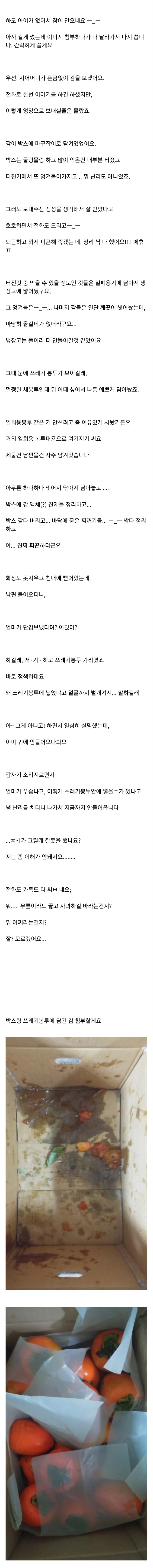 시어머니가 보낸 과일 쓰레기봉투에 있다고 집나간 남편.pann(더러울수있음) | 인스티즈