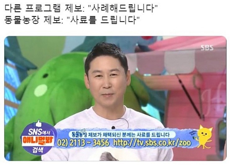 보상이 확실한 동물농장 | 인스티즈