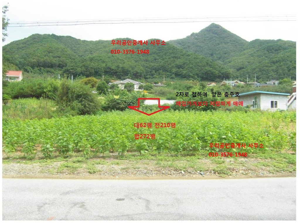 충주호 조망 이미지
