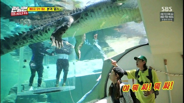 악어가 실례하는 장면을 목격한 전소민&이광수 | 인스티즈