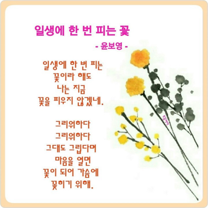 솜씨방 이미지