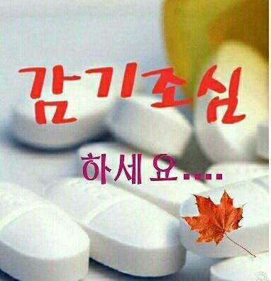 아모 이미지