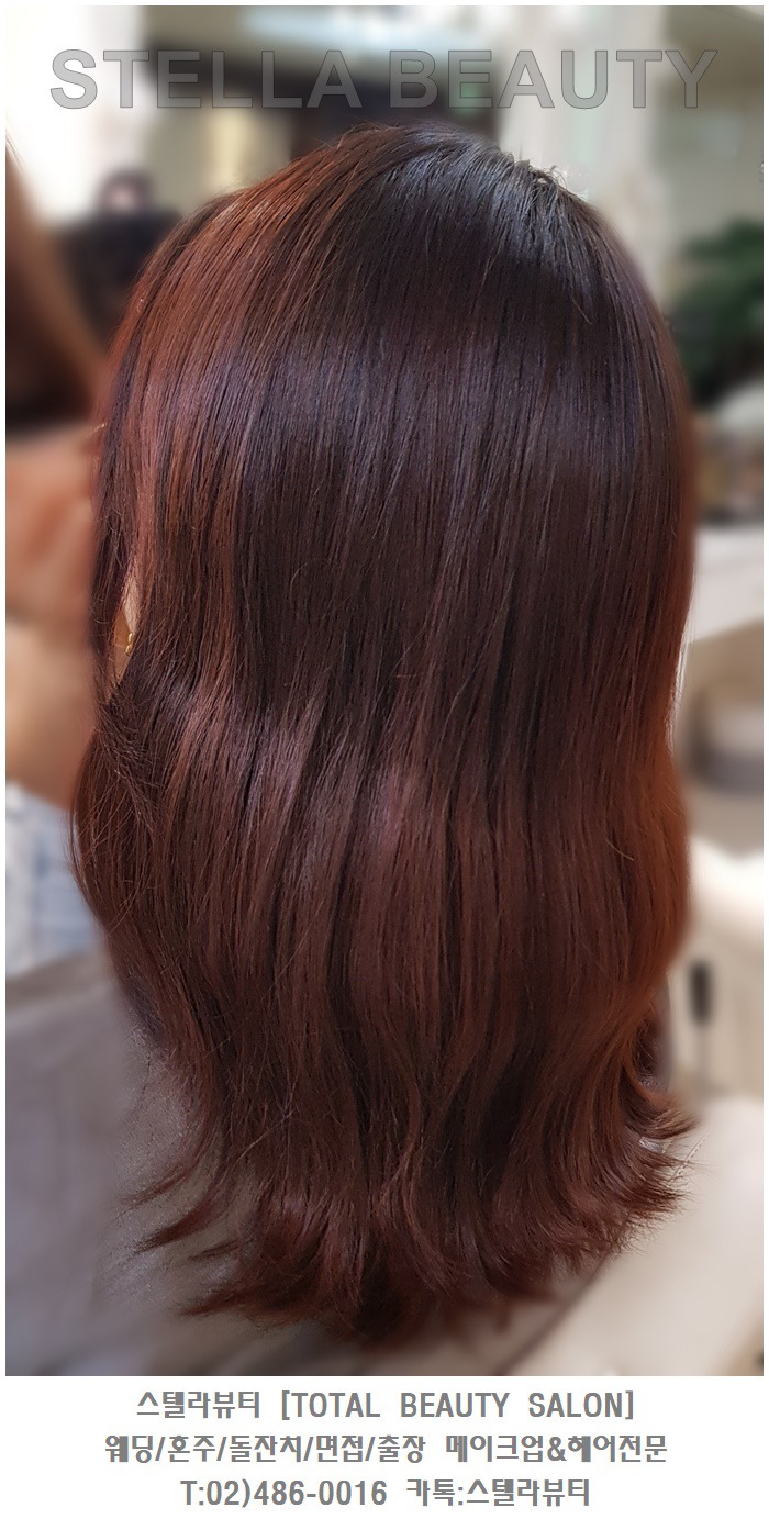 스텔라뷰티 이미지