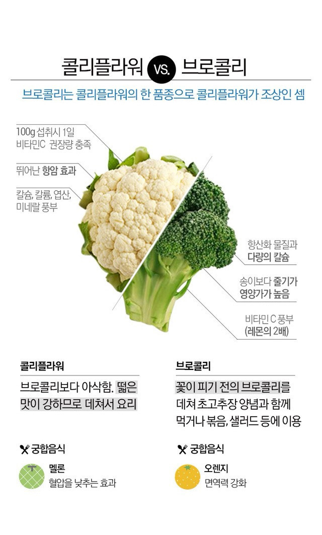 파프리카와 피망의 차이 | 인스티즈