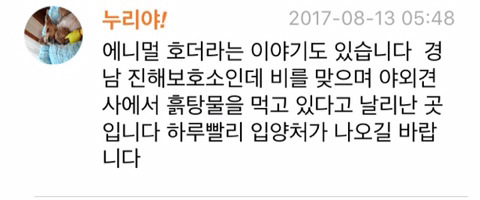 슈나우저 42마리가 한꺼번에 보호소로 들어왔대요 | 인스티즈