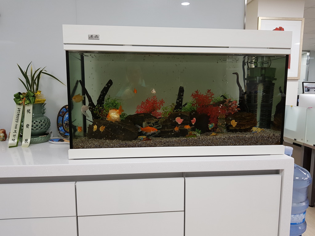 피쉬마트수족관 이미지