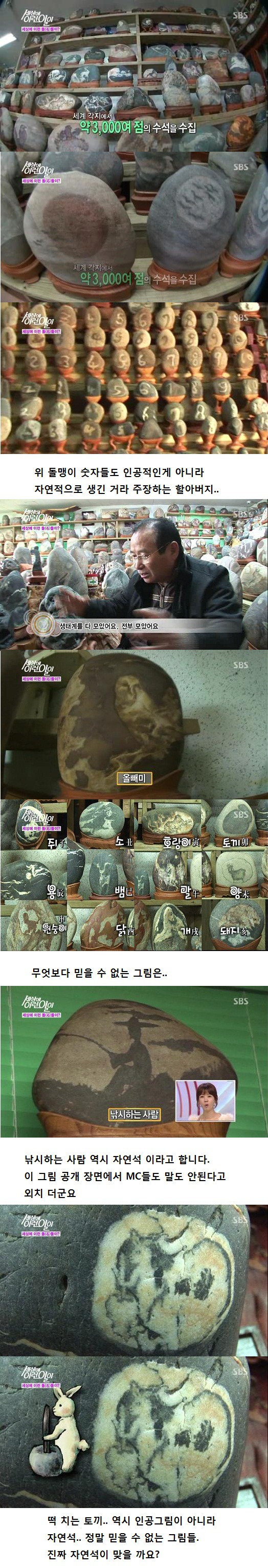 세상에 이런일이 레전드.jpg | 인스티즈