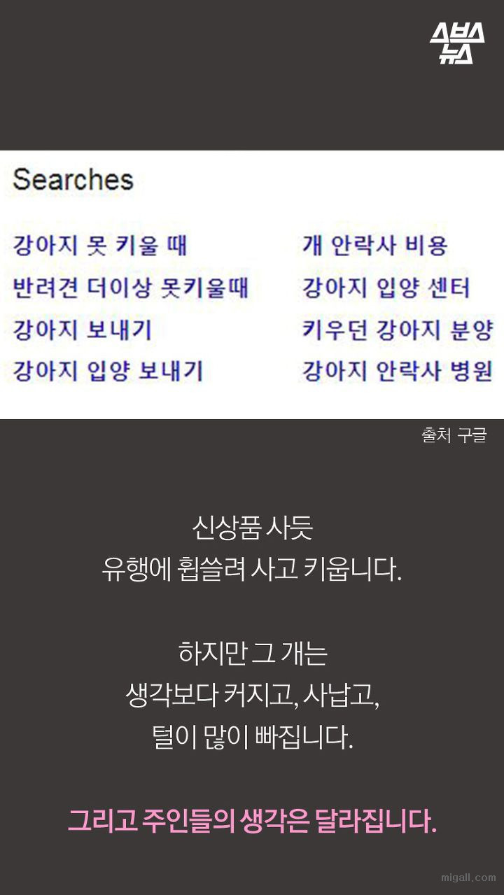개들도 유행을 탄다.JPG | 인스티즈