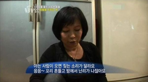 동물농장 레전드 | 인스티즈