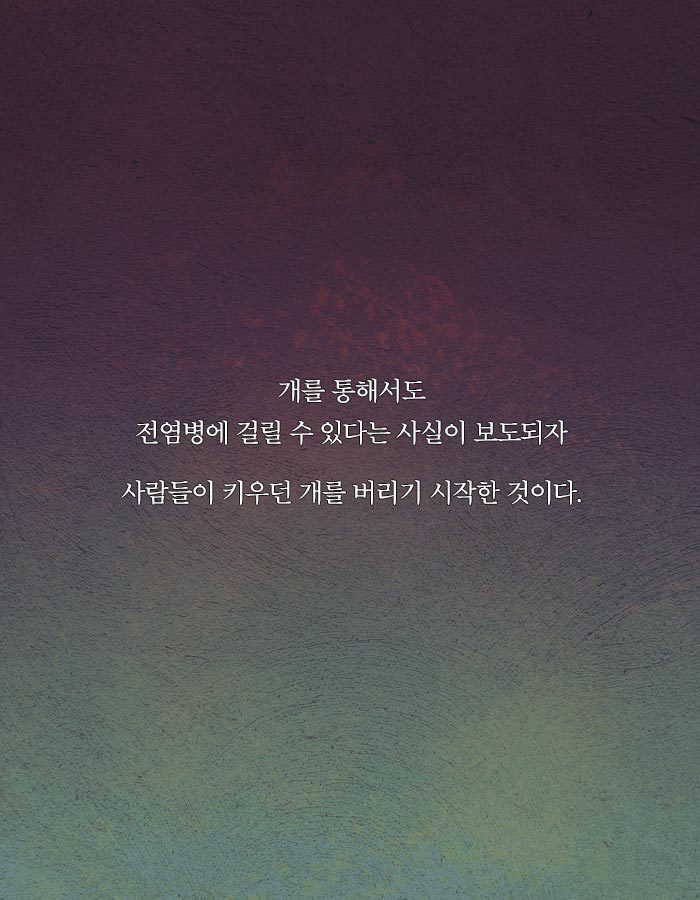 [책소개] 동물병원에 군인들이 닥친 이유 | 인스티즈