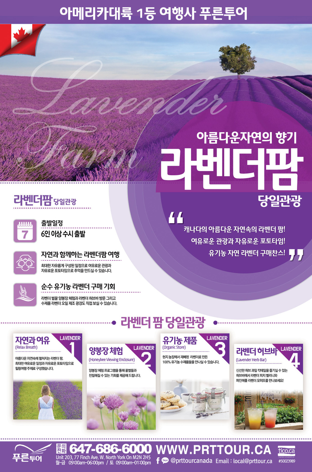 푸른아메리카투어 이미지