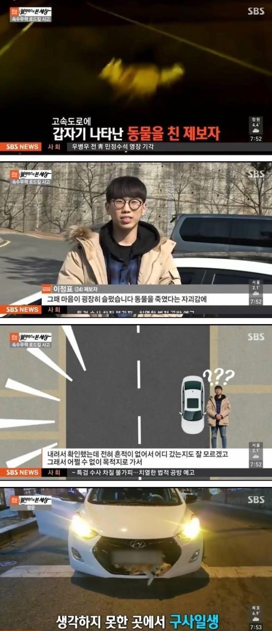 ??? : 여기다 애송이 | 인스티즈