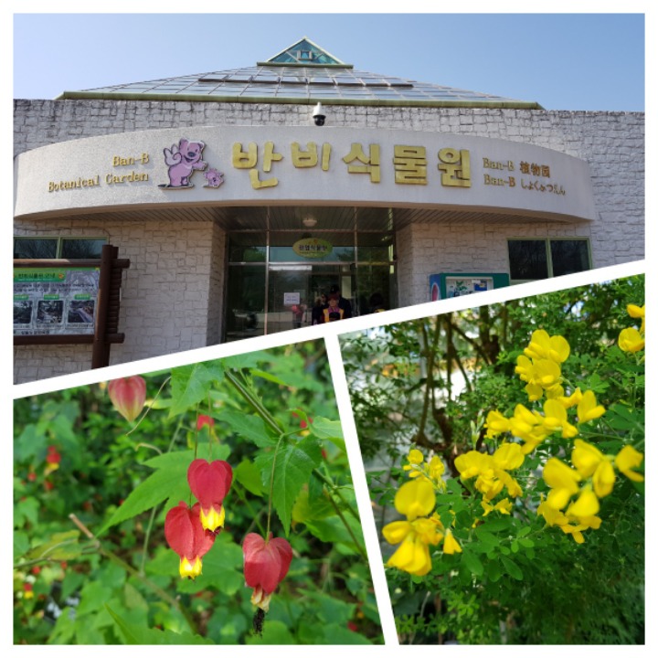 강원도립화목원 이미지