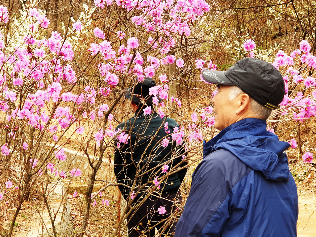 기봉수산 이미지