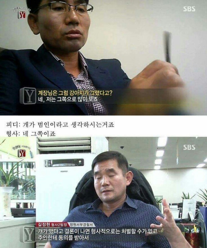 궁금한이야기Y 역대급 난제 ㄷㄷ | 인스티즈