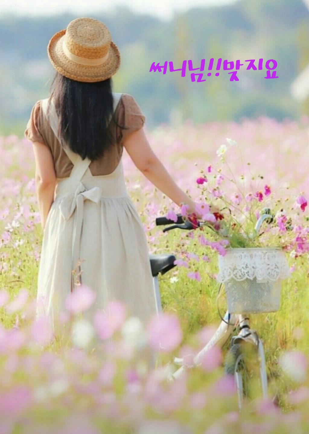 썬다방 이미지