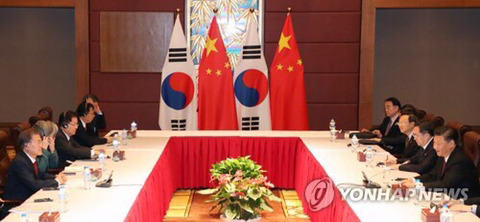 11/11 한중정상회담 | 인스티즈