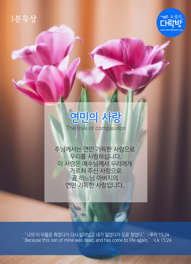 연민 이미지