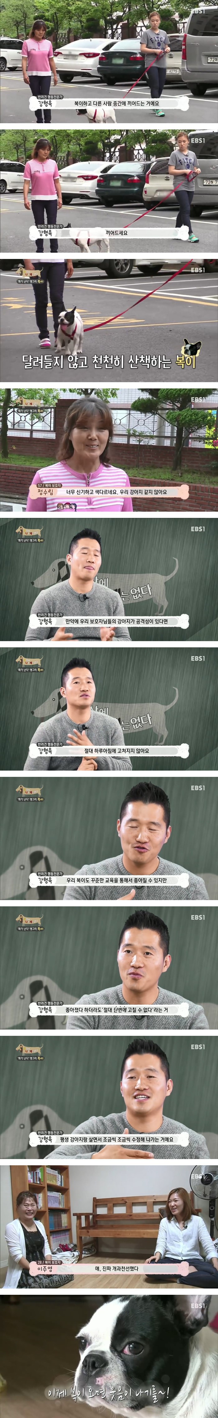 반려견 전문가 강형욱의 사람 무는 프렌치도그 훈련 | 인스티즈