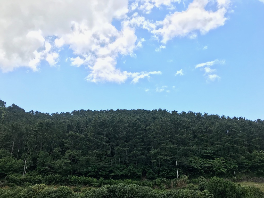 신화환경 이미지