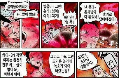 밥 하나 짓는데 별 을 다 떰 | 인스티즈
