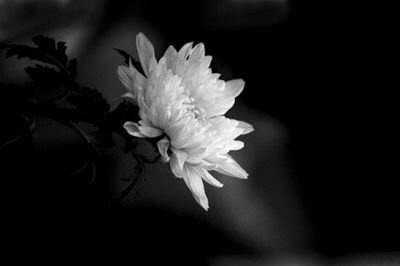 로또 번호 보기 vs 자신의 죽음 날짜 보기 (예지몽) | 인스티즈