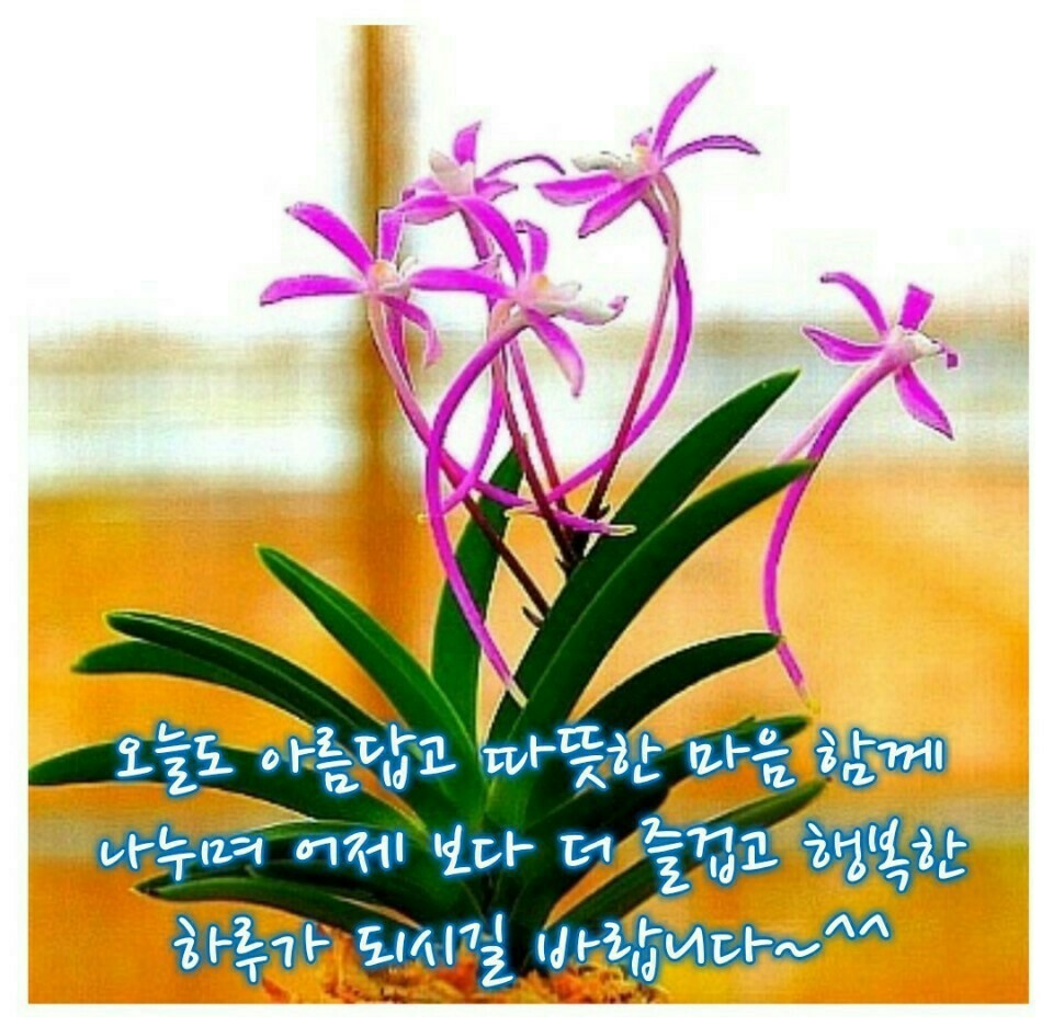 예쁜그대방 이미지