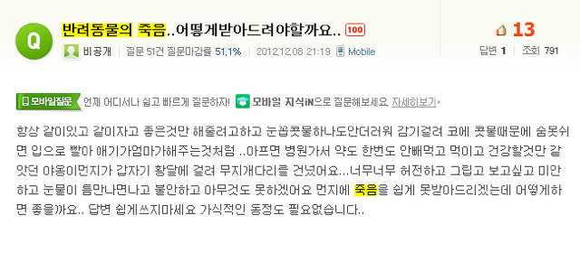 처음 반려동물 키우기 시작했을 때 너무 좋고 예뻐서 생각하지 못하는 것.jpg | 인스티즈