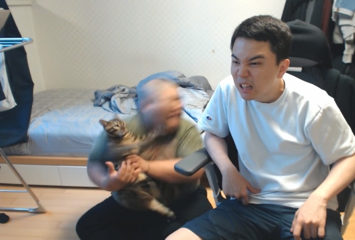 집사와 밀당하는 고양이 | 인스티즈